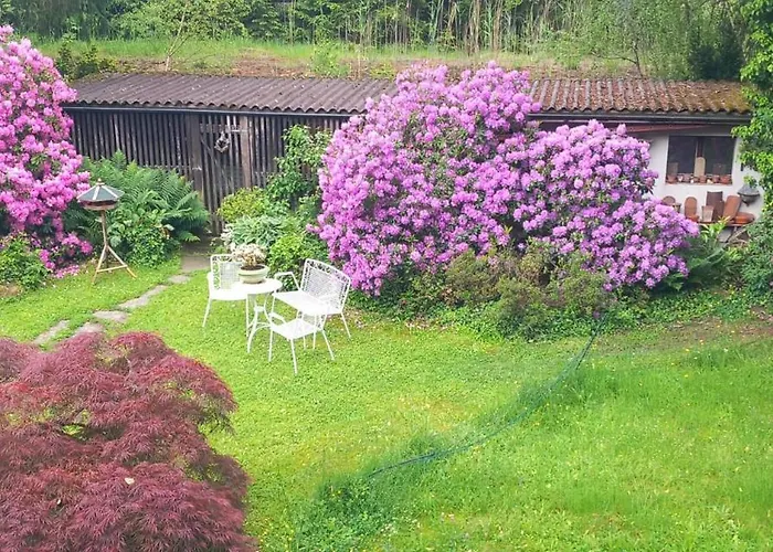 Waldrand Friburgo de Brisgovia